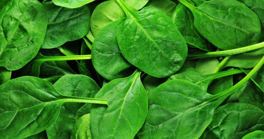 Folate & Cognitive Clarity: The "Transaction Fee" on Your Focus*